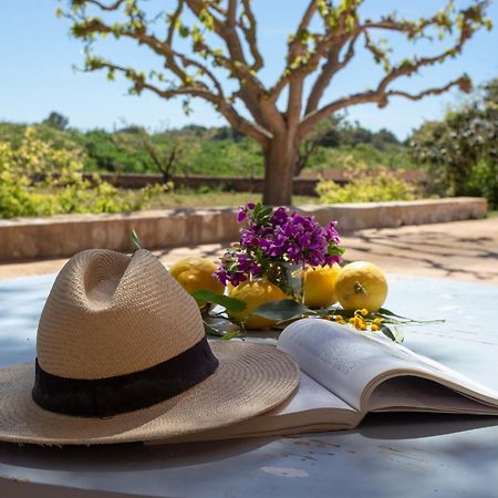 Sa Nau Agroturismo - Adults Only Over 16 Puerto Colom Ngoại thất bức ảnh