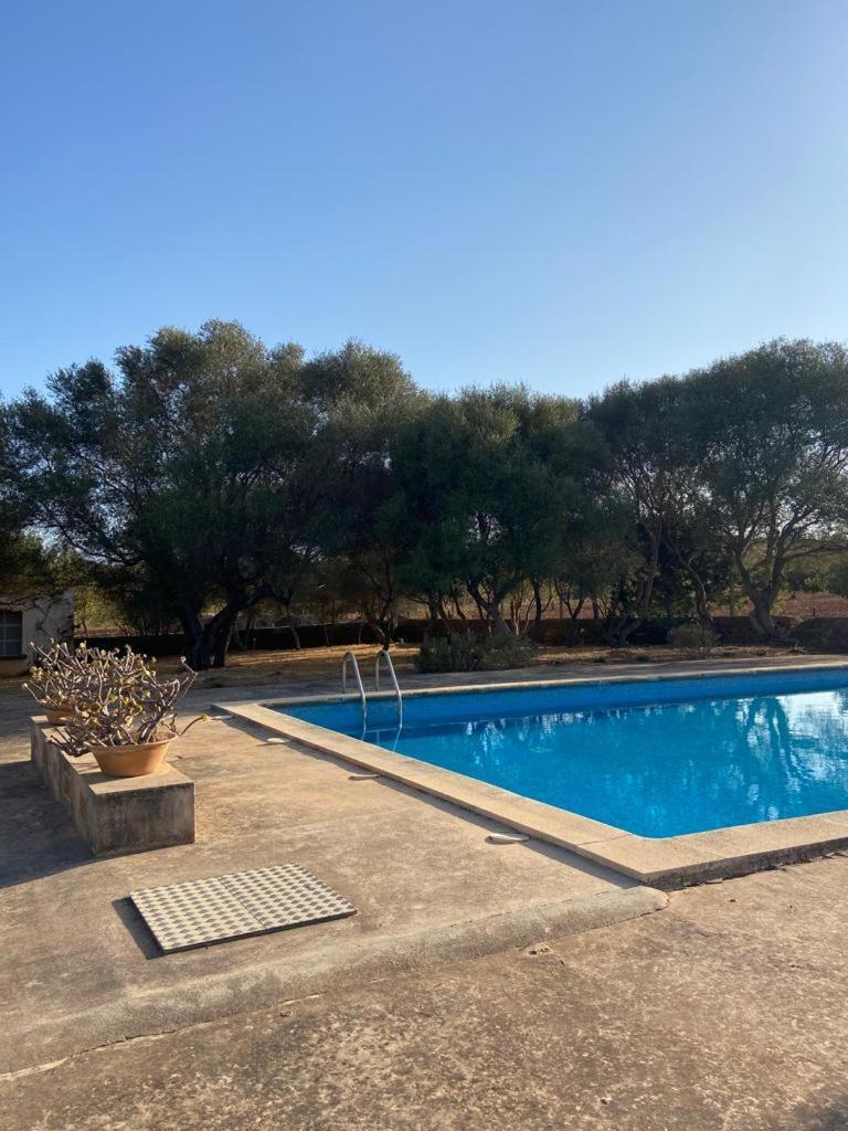 Sa Nau Agroturismo - Adults Only Over 16 Puerto Colom Ngoại thất bức ảnh